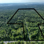 vue aérienne de la propriété avec terre à bois à vendre